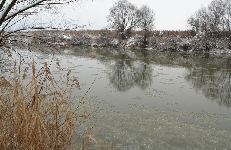 Foto glisarea zapoadelor (c) Petru Goja